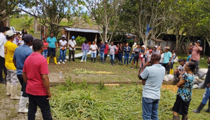 elaboracion abono organicos