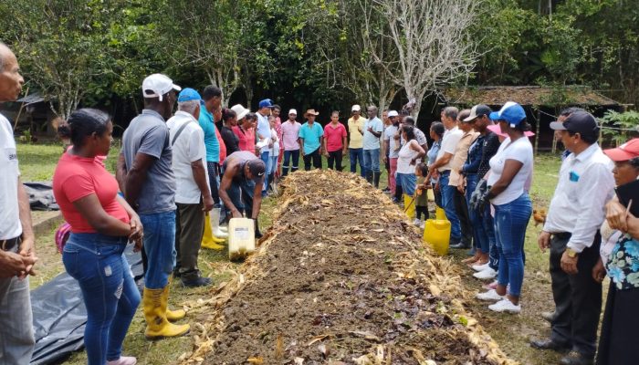 elaboracion abonos organicos
